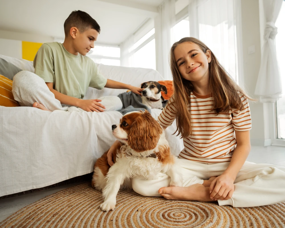 automatic dog water feeder
