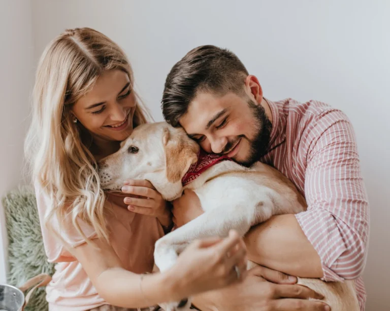 wifi automatic pet feeder